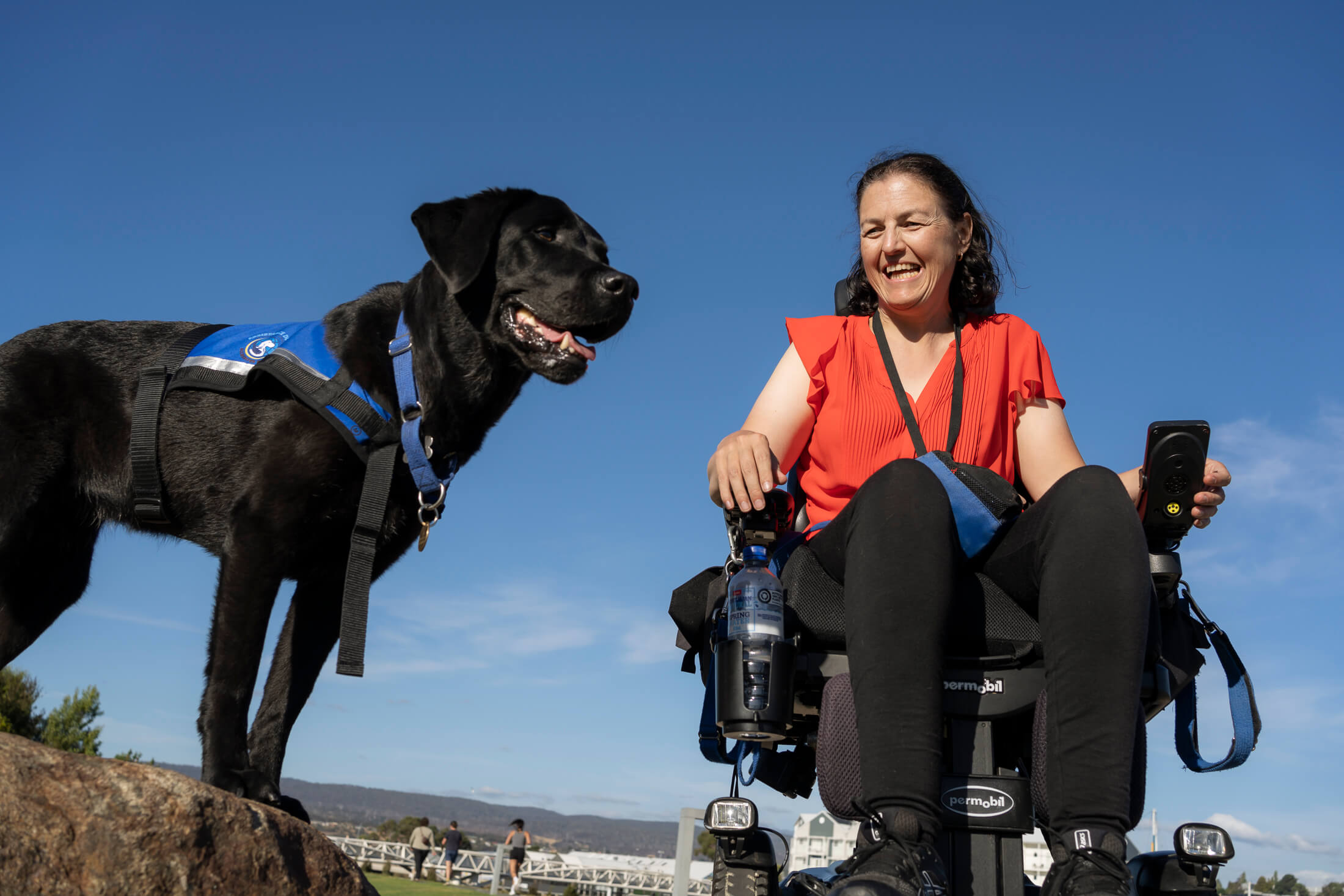 Training the next hero pups